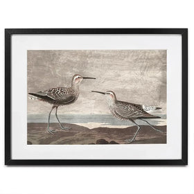 Gilded Sandpipers Framed Art Print Gilded Sandpipers Framed Art Print wall art product John James Audubon