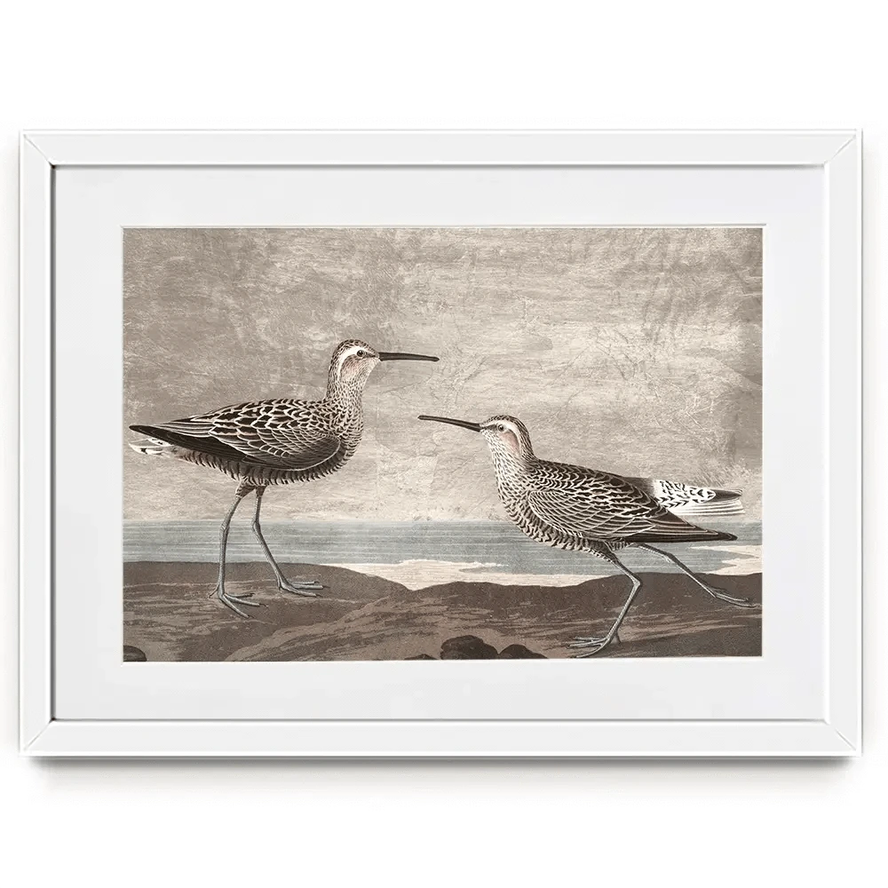 Gilded Sandpipers Framed Art Print Gilded Sandpipers Framed Art Print wall art product John James Audubon