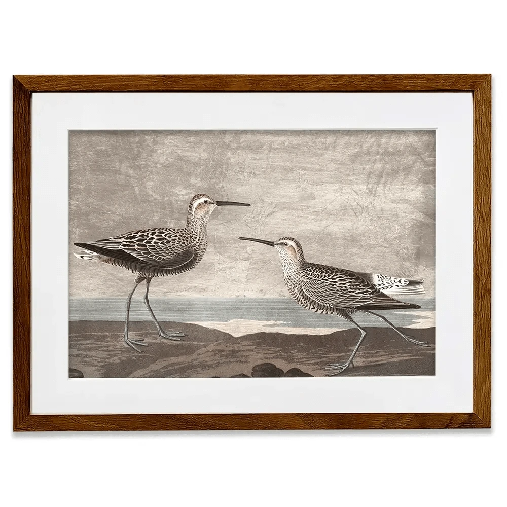 Gilded Sandpipers Framed Art Print Gilded Sandpipers Framed Art Print wall art product John James Audubon