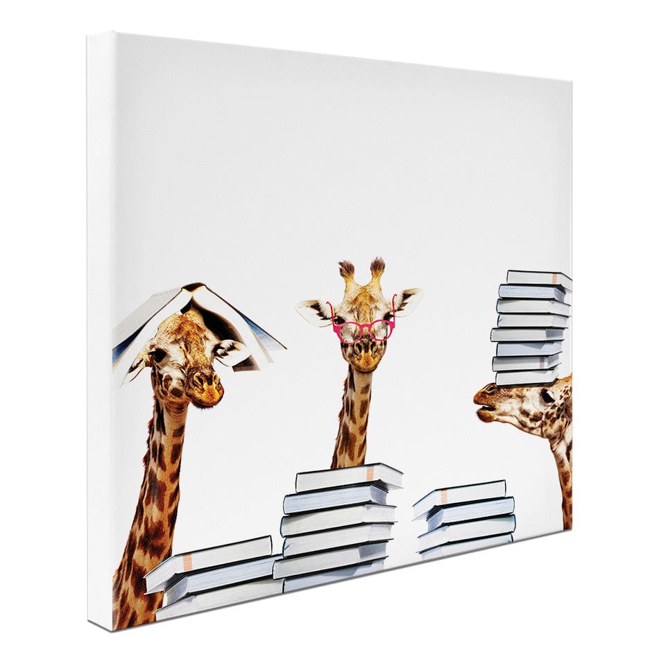 Giraffes With Books Square Canvas Print wall art product Sergey Novikov / Shutterstock