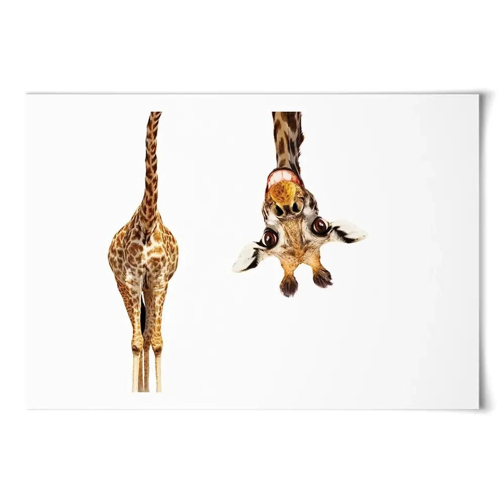 Happy Upside Down Giraffe Art Print Happy Upside Down Giraffe Art Print wall art product Sergey Novikov / Shutterstock