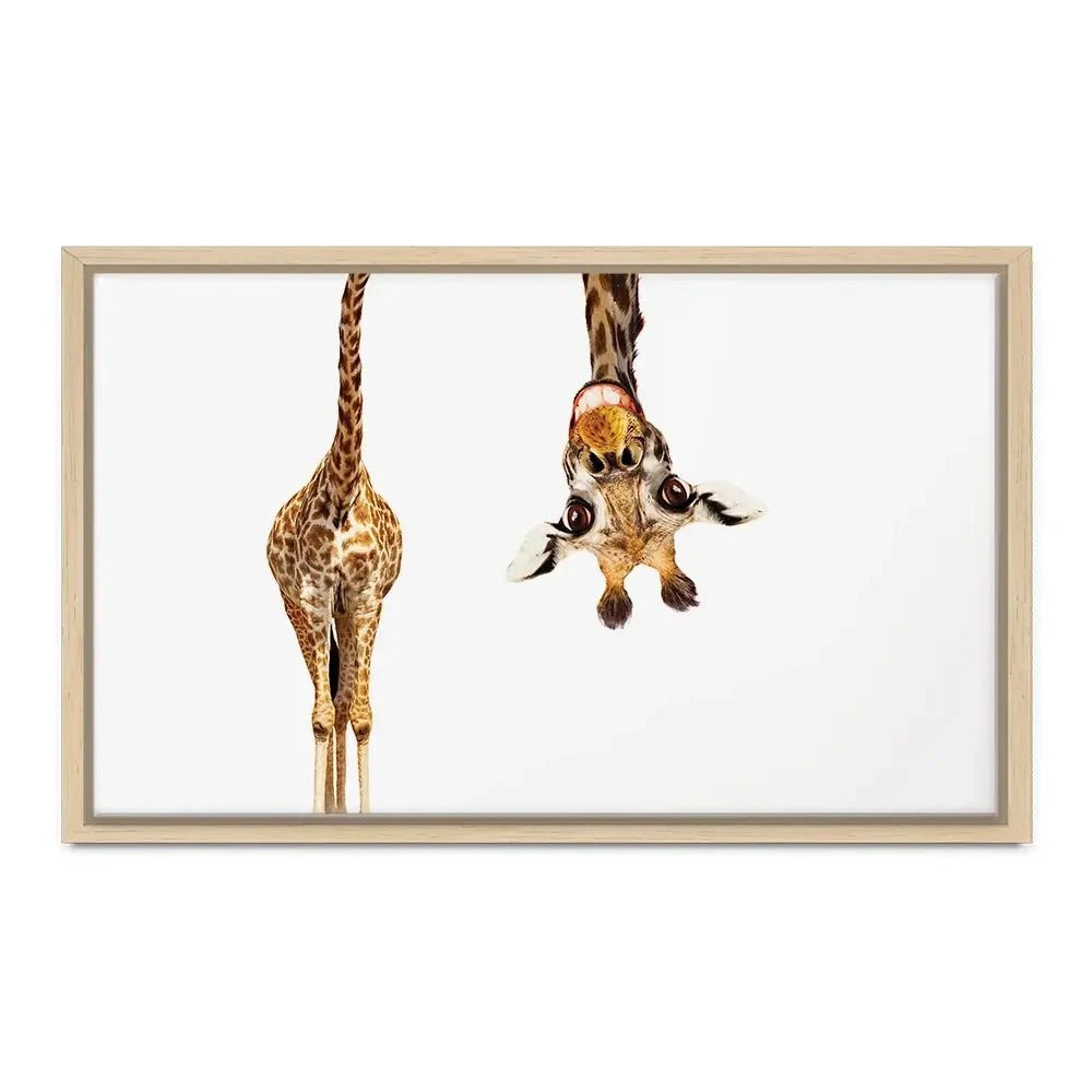 Happy Upside Down Giraffe Canvas Print Happy Upside Down Giraffe Canvas Print wall art product Sergey Novikov / Shutterstock