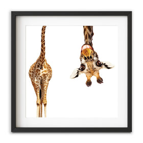 Happy Upside Down Giraffe Square Framed Art Print wall art product Sergey Novikov / Shutterstock