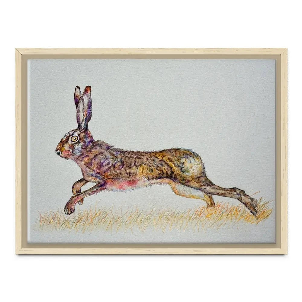 Hare On The Run Canvas Print Hare On The Run Canvas Print wall art product Martin Charles Hatch / Shutterstock