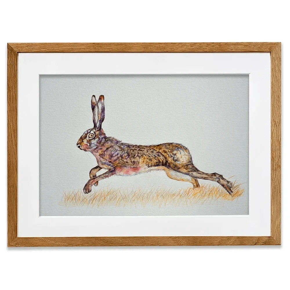 Hare On The Run Framed Art Print Hare On The Run Framed Art Print wall art product Martin Charles Hatch / Shutterstock