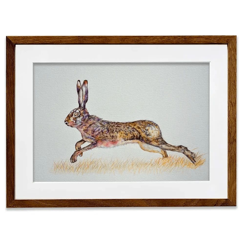 Hare On The Run Framed Art Print Hare On The Run Framed Art Print wall art product Martin Charles Hatch / Shutterstock