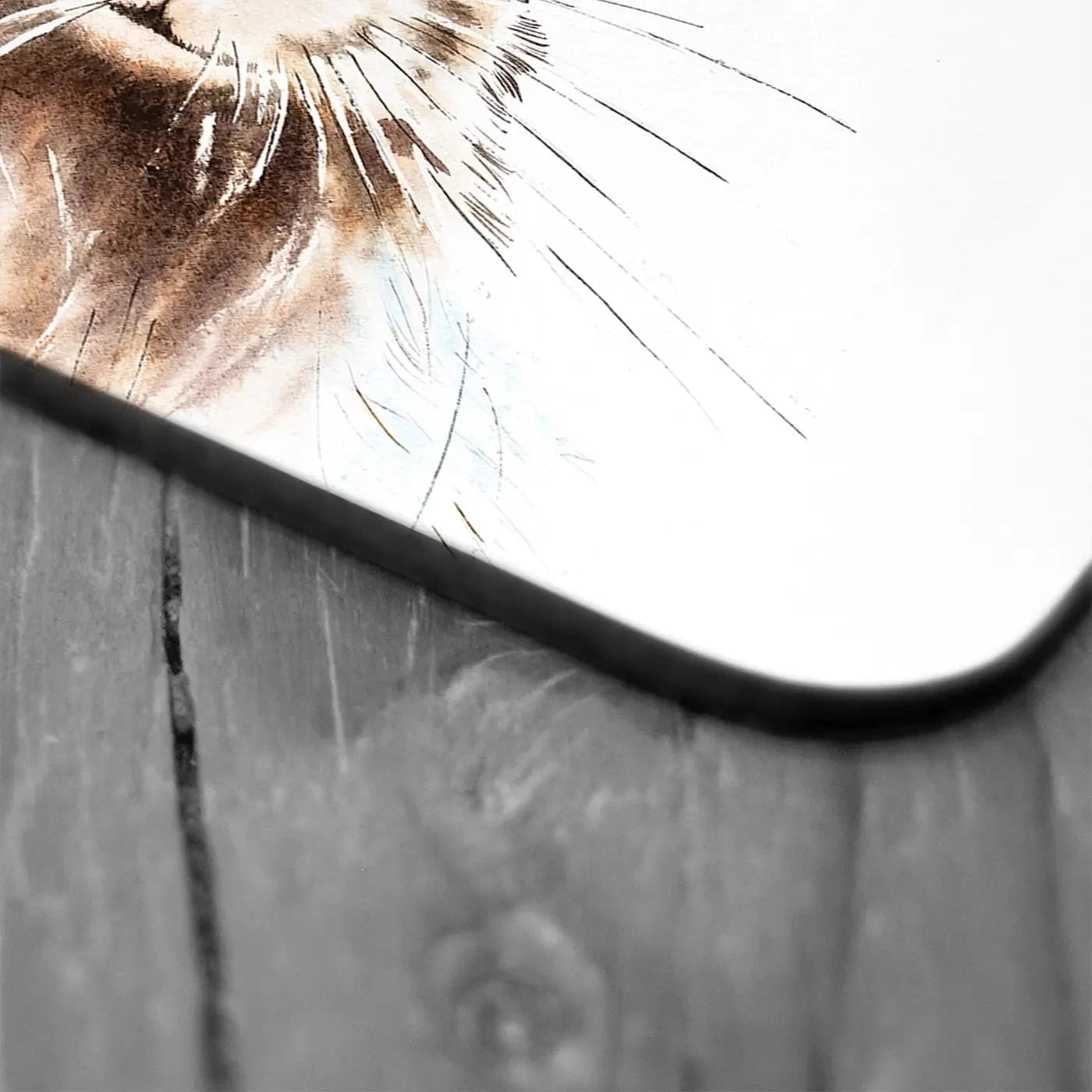 Harry The Hare Coaster Set Harry The Hare Coaster Set wall art product Bolotova Tatyana / Shutterstock