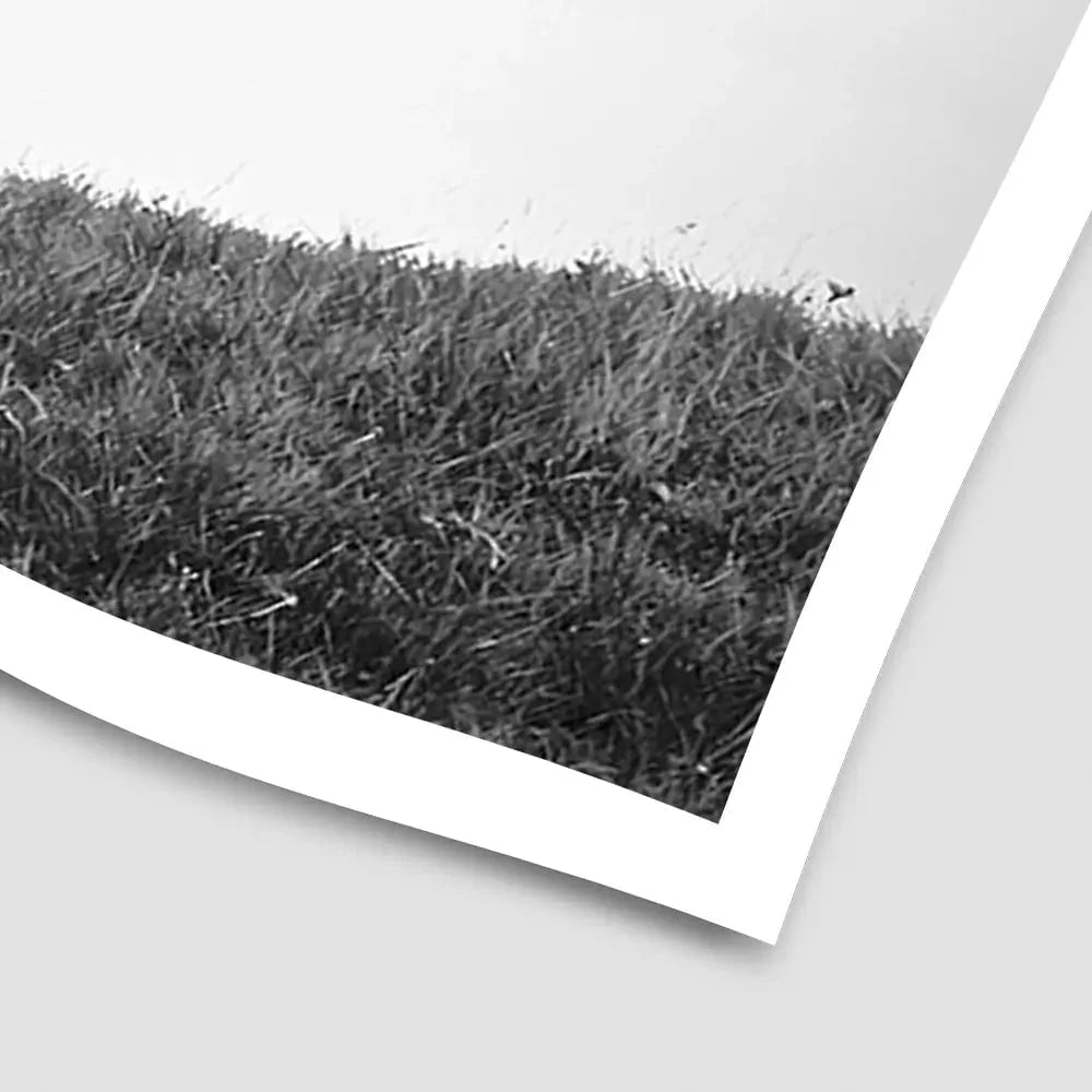 Highland Cow In The Distance Art Print Highland Cow In The Distance Art Print wall art product Eleanor Hamilton / Shutterstock