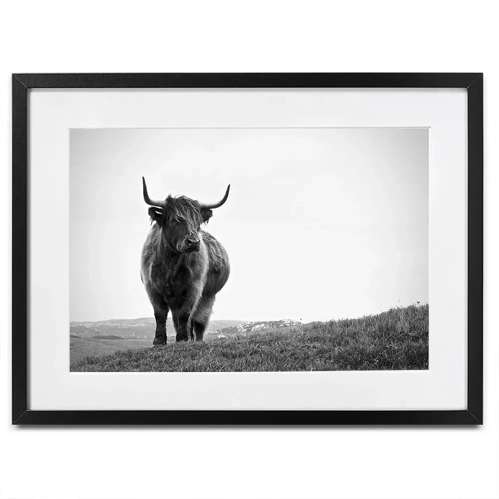 Highland Cow In The Distance Framed Art Print Highland Cow In The Distance Framed Art Print wall art product Eleanor Hamilton / Shutterstock