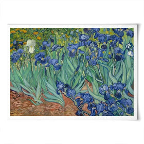 Irises Art Print Irises Art Print wall art product Vincent Van Gogh