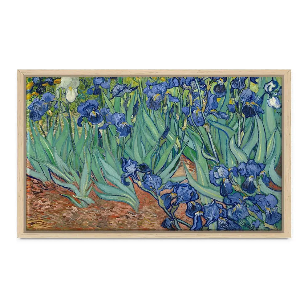 Irises Canvas Print Irises Canvas Print wall art product Vincent Van Gogh
