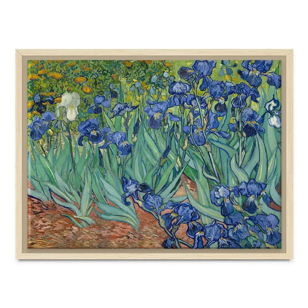 Irises Canvas Print Irises Canvas Print wall art product Vincent Van Gogh