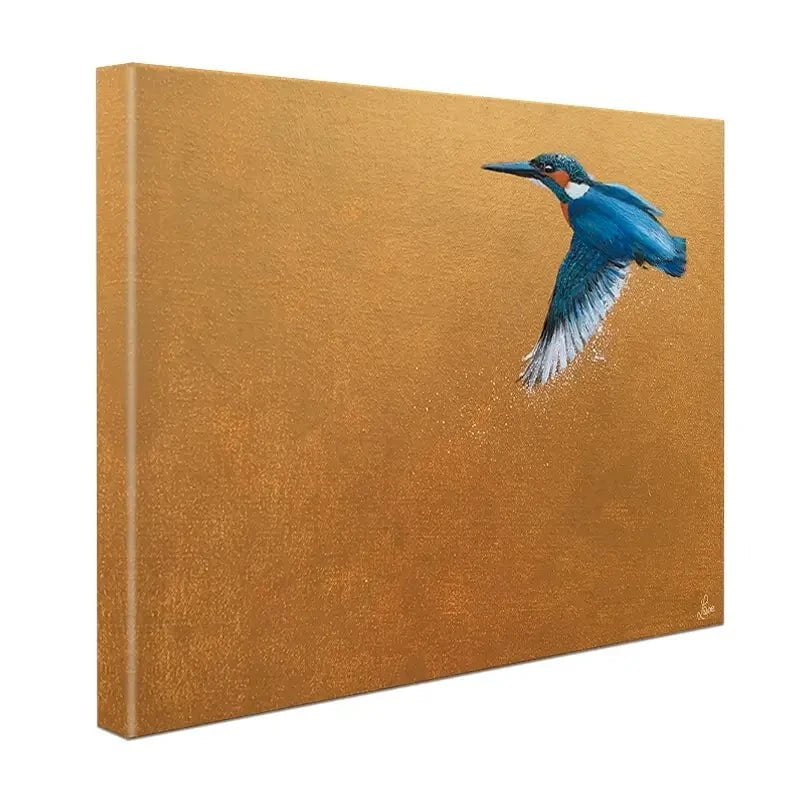 Kingfisher In Flight Canvas Print Kingfisher In Flight Canvas Print wall art product Laure Bury