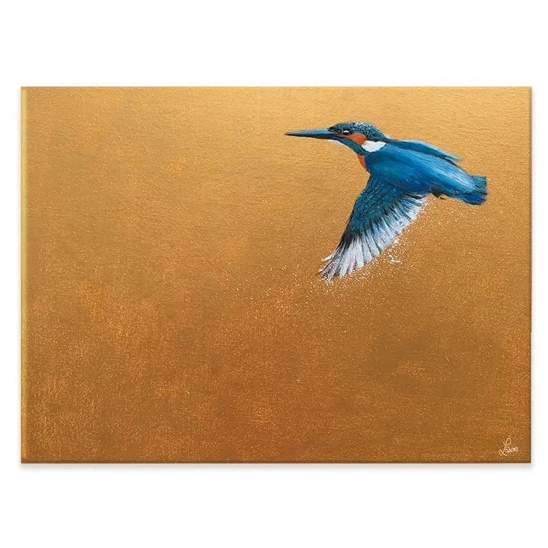 Kingfisher In Flight Canvas Print Kingfisher In Flight Canvas Print wall art product Laure Bury