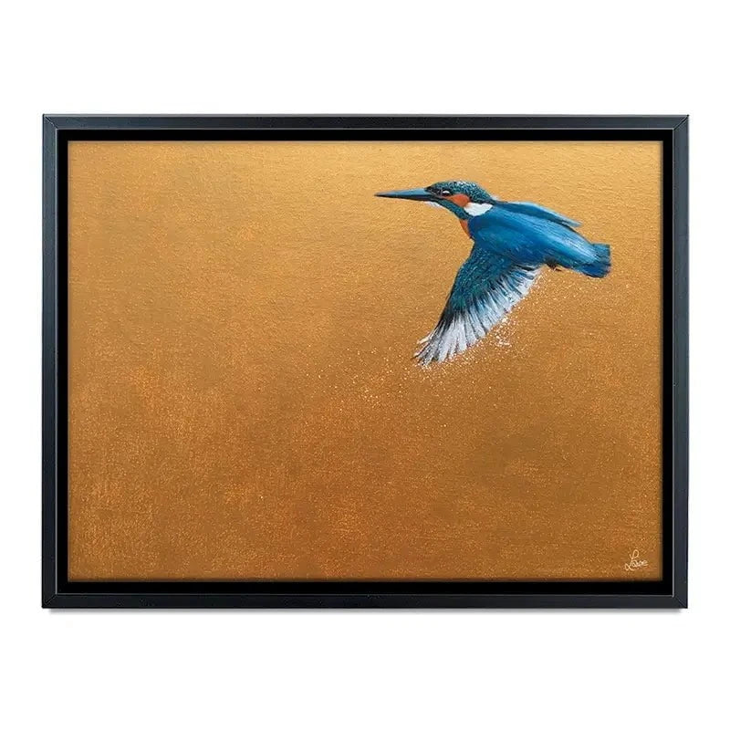 Kingfisher In Flight Canvas Print Kingfisher In Flight Canvas Print wall art product Laure Bury