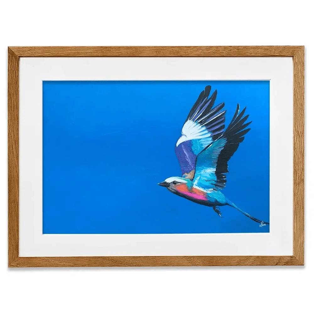 Lilac Breasted Roller In Flight Framed Art Print Lilac Breasted Roller In Flight Framed Art Print wall art product Laure Bury