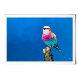 Lilac Breasted Roller Under An African Sun Art Print Lilac Breasted Roller Under An African Sun Art Print wall art product Laure Bury