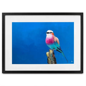 Lilac Breasted Roller Under An African Sun Framed Art Print Lilac Breasted Roller Under An African Sun Framed Art Print wall art product Laure Bury