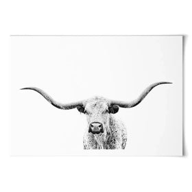 Longhorn Gaze Art Print Longhorn Gaze Art Print wall art product PH Burchett