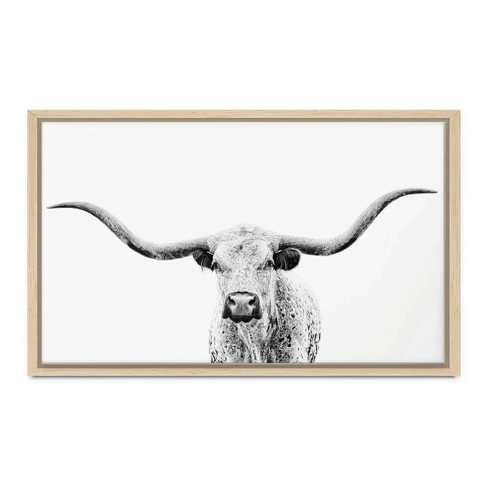 Longhorn Gaze Canvas Print Longhorn Gaze Canvas Print wall art product PH Burchett