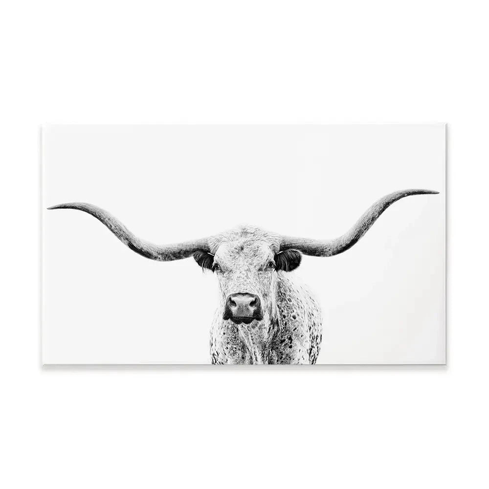 Longhorn Gaze Canvas Print Longhorn Gaze Canvas Print wall art product PH Burchett