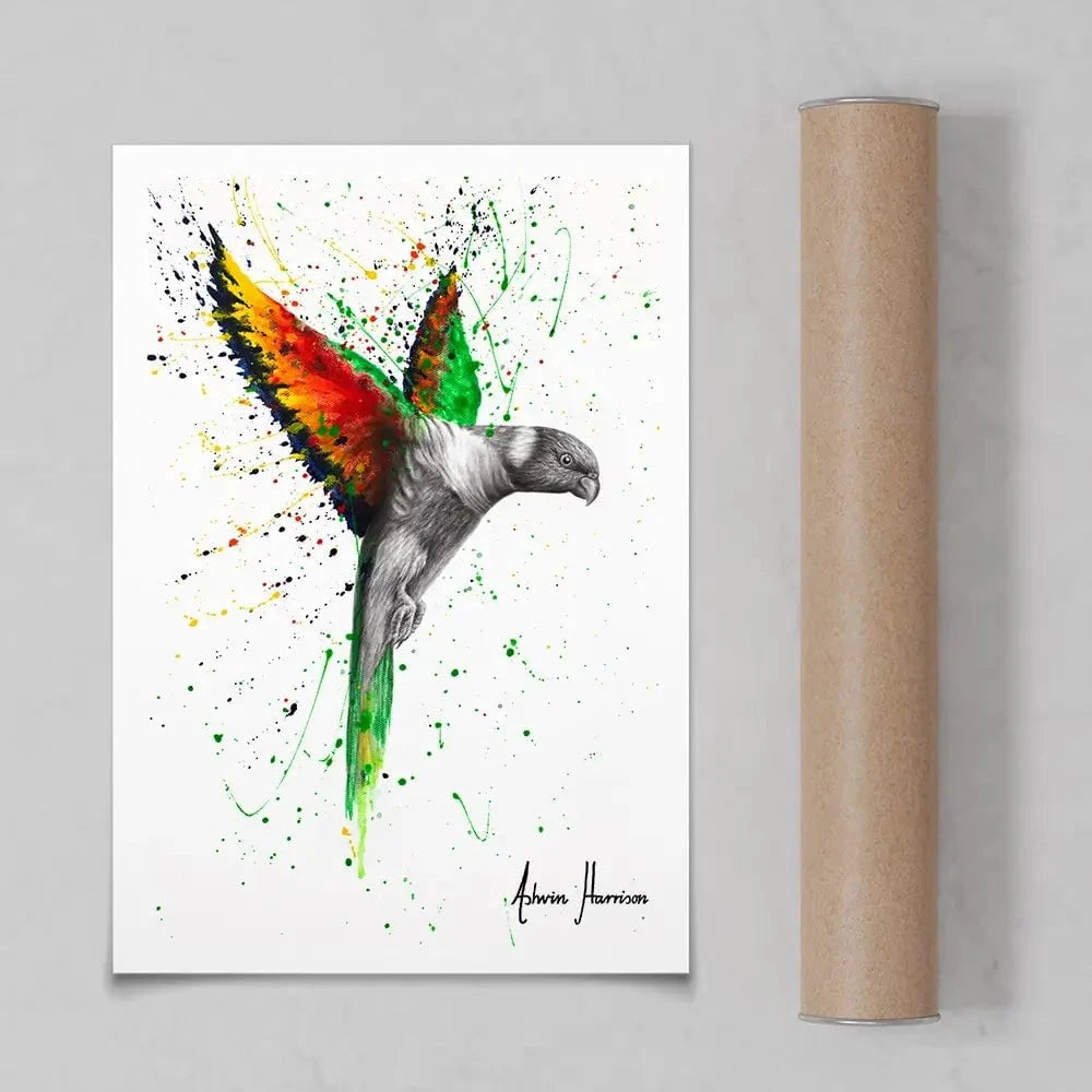 Lorikeet Larrikin Art Print Lorikeet Larrikin Art Print wall art product Ashvin Harrison