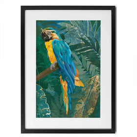 Macaw Framed Art Print Macaw Framed Art Print wall art product Sarah Manovski
