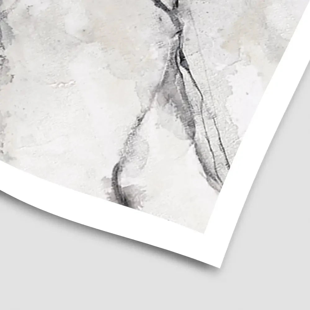 Marbled White Art Print Marbled White Art Print wall art product Michael Willett