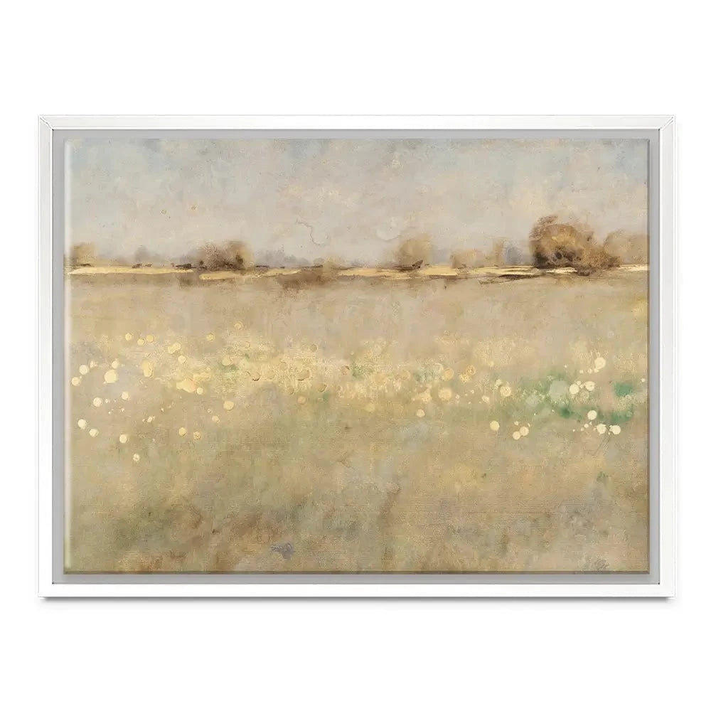 Meadow Plane Canvas Print Meadow Plane Canvas Print wall art product Tim O'Toole