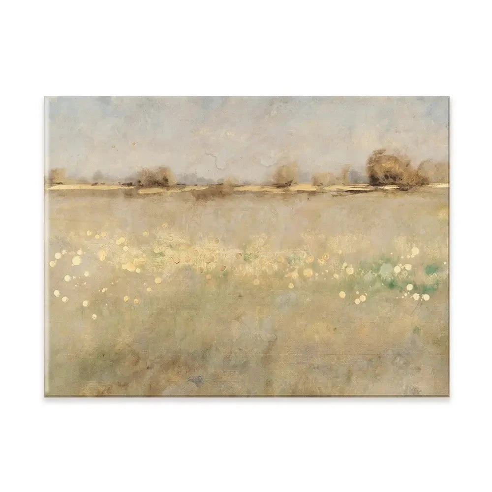 Meadow Plane Canvas Print Meadow Plane Canvas Print wall art product Tim O'Toole