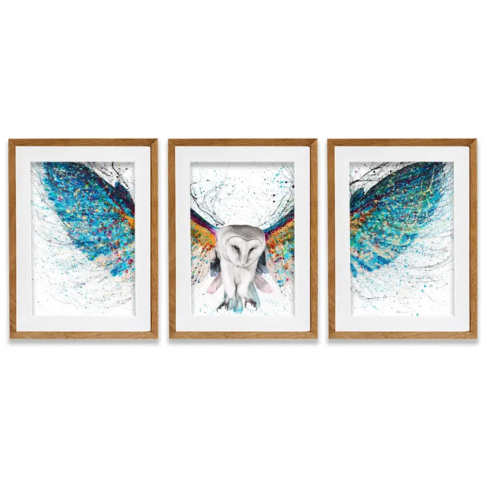 Opulent Night Owl Framed Art Print Trio Opulent Night Owl Framed Art Print Trio wall art product Ashvin Harrison