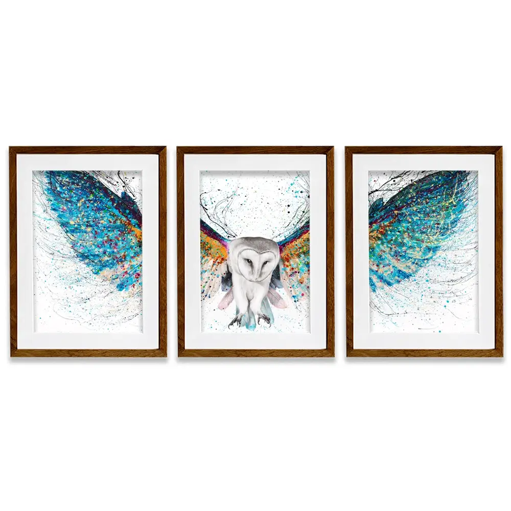 Opulent Night Owl Framed Art Print Trio Opulent Night Owl Framed Art Print Trio wall art product Ashvin Harrison