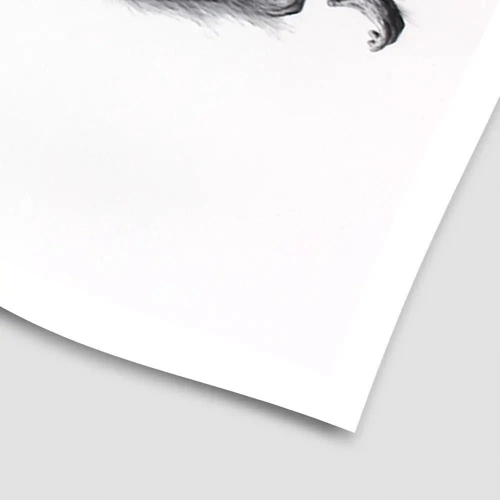 Orangutan Upon A Time Art Print Orangutan Upon A Time Art Print wall art product Ashvin Harrison
