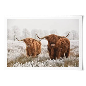 Pair Of Winter Cows Art Print Pair Of Winter Cows Art Print wall art product defotoberg / Shutterstock
