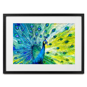 Peacock Power Framed Art Print wall art product CYC / Shutterstock