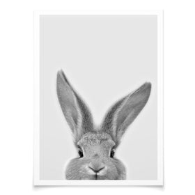 Peekaboo Bunny Portrait Art Print wall art product R Visser