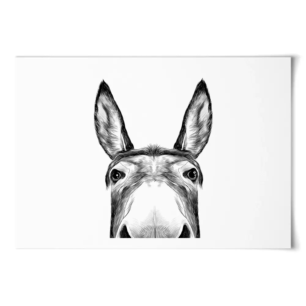 Peeking Donkey Art Print Peeking Donkey Art Print wall art product Serafima Antipova / Shutterstock