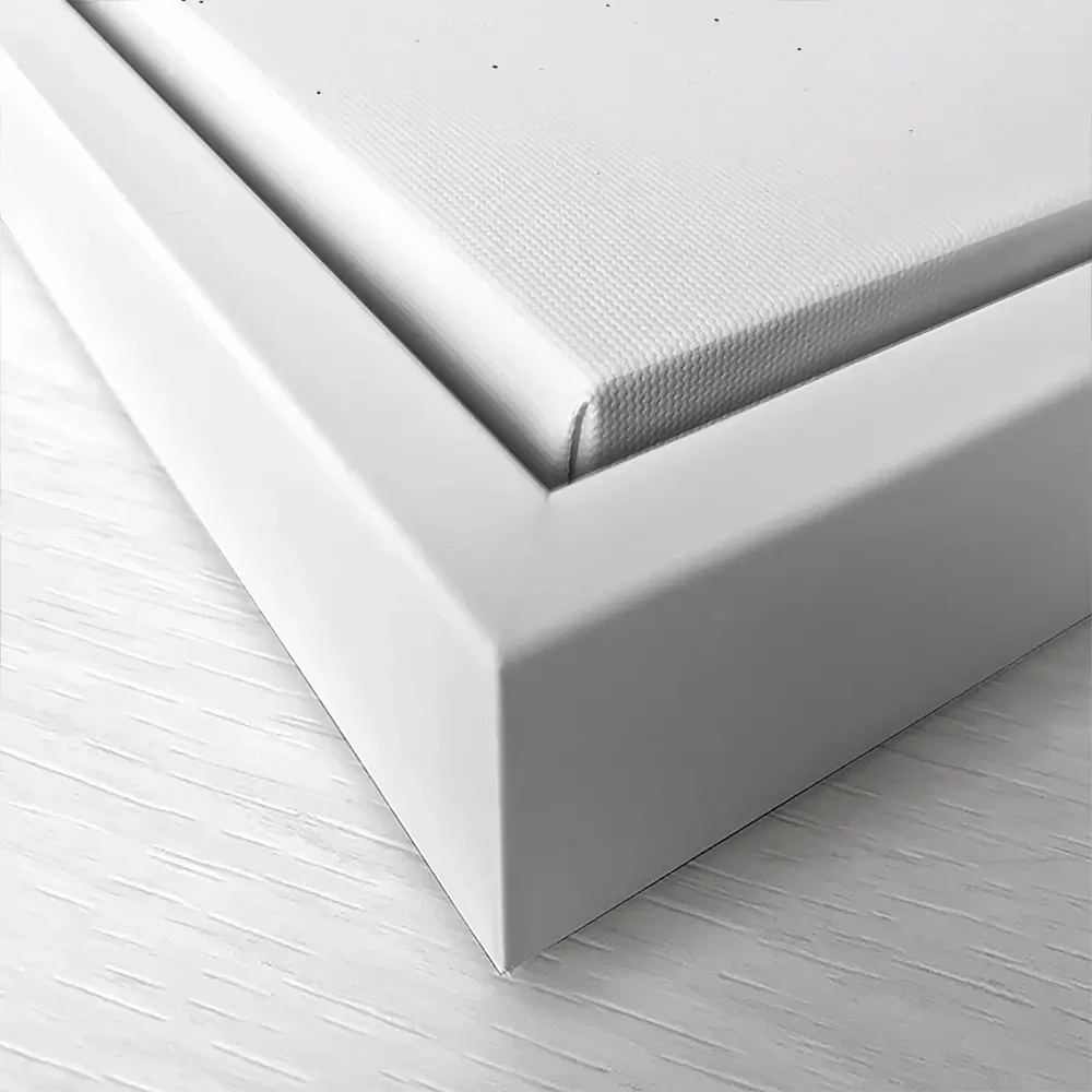 Penguin Ballet Canvas Print Penguin Ballet Canvas Print wall art product Ashvin Harrison