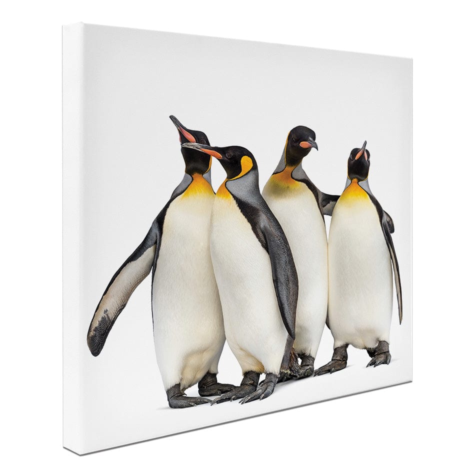 Penguin Gang Square Canvas Print wall art product Eric Isselee / Shutterstock