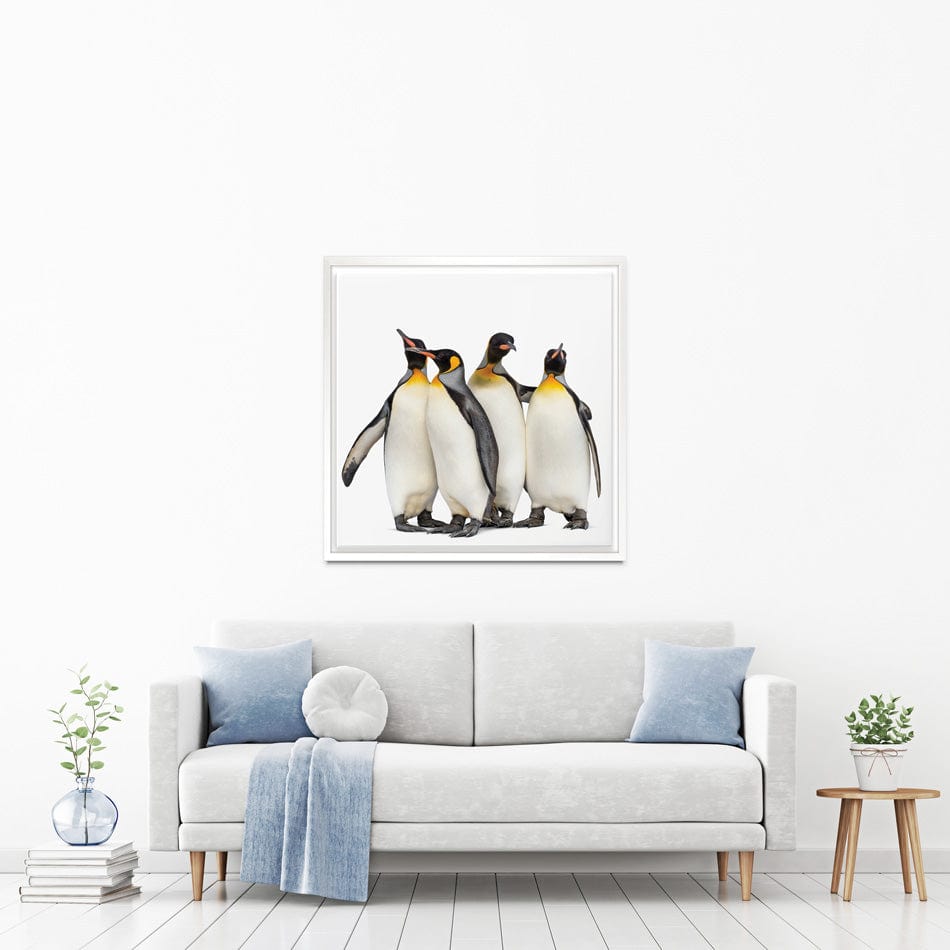 Penguin Gang Square Canvas Print wall art product Eric Isselee / Shutterstock