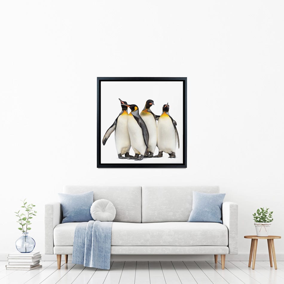 Penguin Gang Square Canvas Print wall art product Eric Isselee / Shutterstock