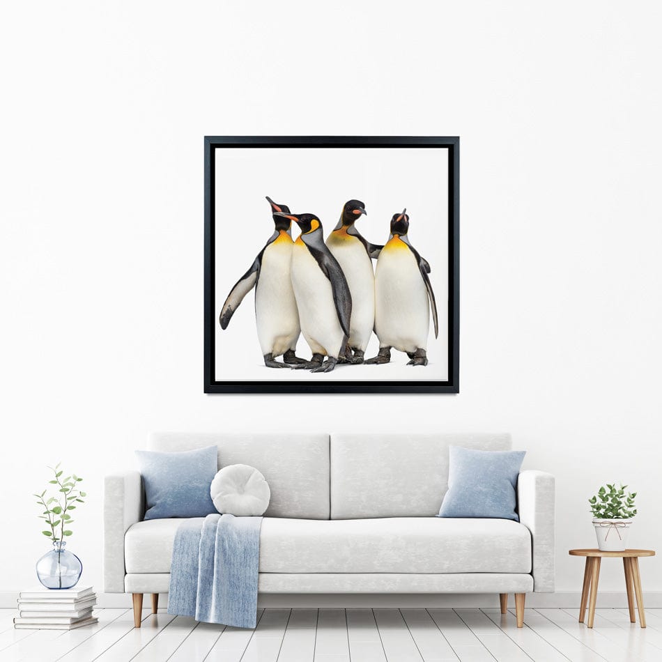 Penguin Gang Square Canvas Print wall art product Eric Isselee / Shutterstock