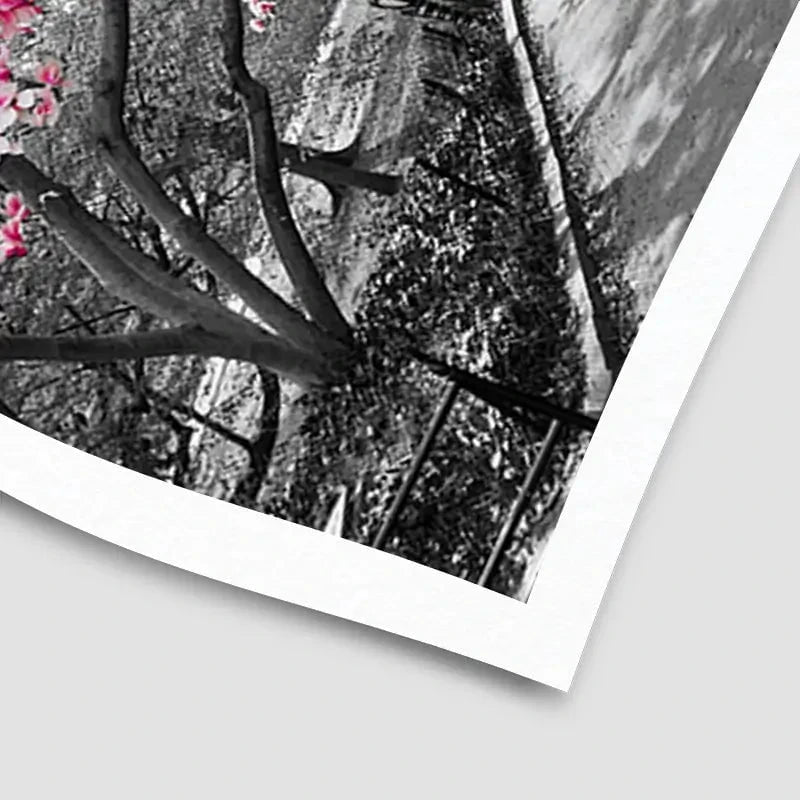Pink Blossom Trees Art Print Pink Blossom Trees Art Print wall art product Ryan DeBerardinis / Shutterstock