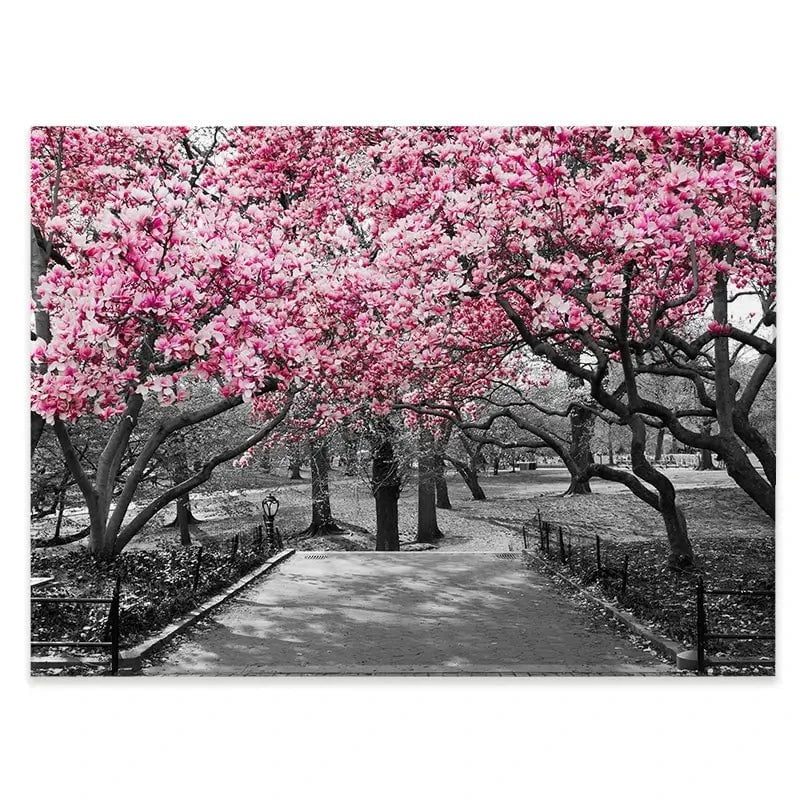 Pink Blossom Trees Canvas Print Pink Blossom Trees Canvas Print wall art product Ryan DeBerardinis / Shutterstock