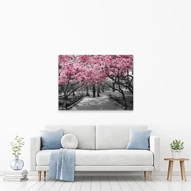 Pink Blossom Trees Canvas Print Pink Blossom Trees Canvas Print wall art product Ryan DeBerardinis / Shutterstock