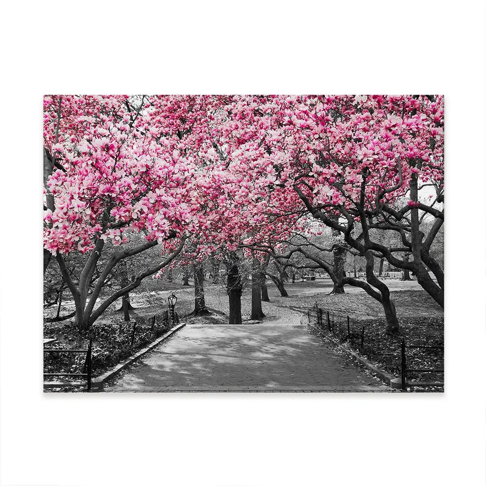Pink Blossom Trees Canvas Print Pink Blossom Trees Canvas Print wall art product Ryan DeBerardinis / Shutterstock