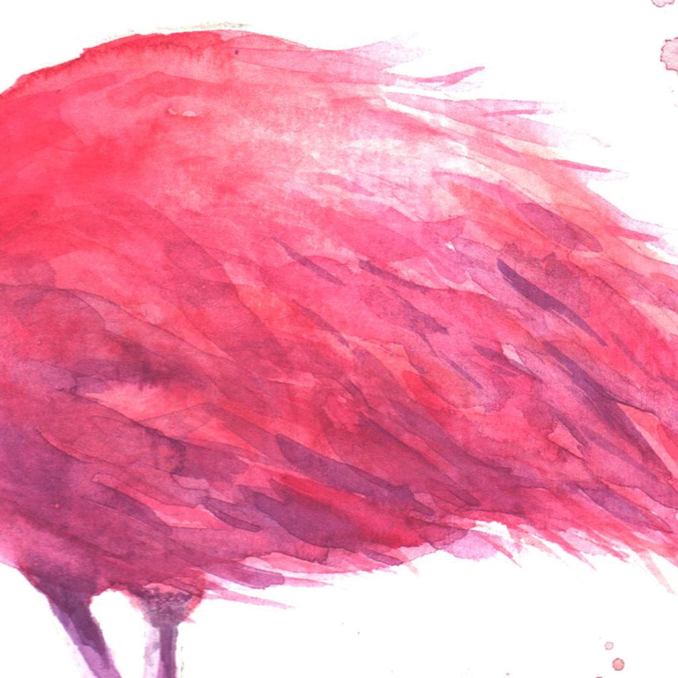 Pink Watercolour Flamingo Square Canvas Print wall art product olgers / Shutterstock