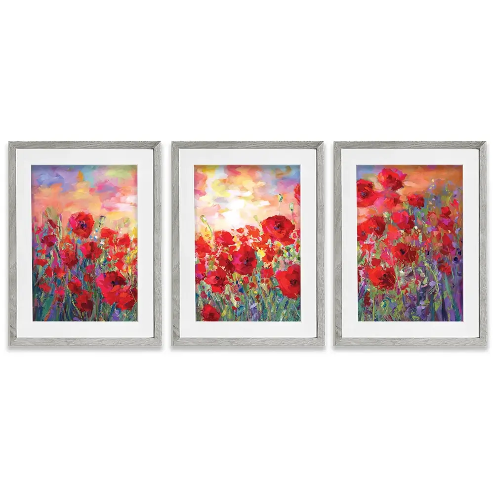 Poppy Flower Field Framed Art Print Trio Poppy Flower Field Framed Art Print Trio wall art product Leon Devenice