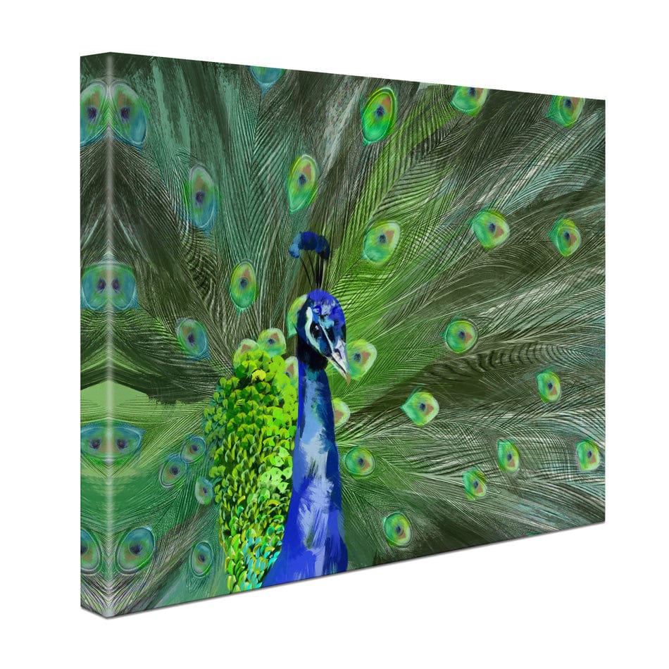 Powerful Peacock Canvas Print wall art product Aimee Linzi