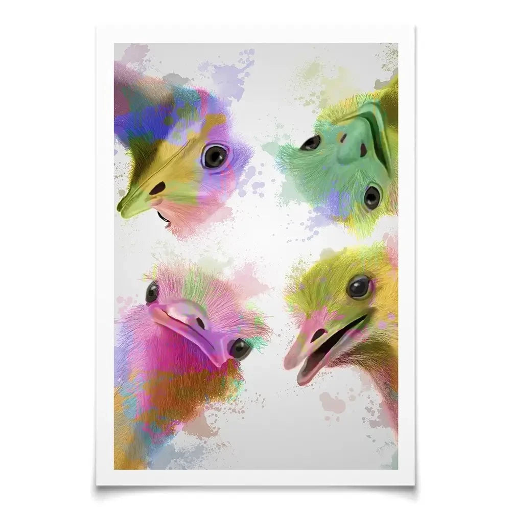 Rainbow Splash Four Ostriches Art Print Rainbow Splash Four Ostriches Art Print wall art product Fab Funky